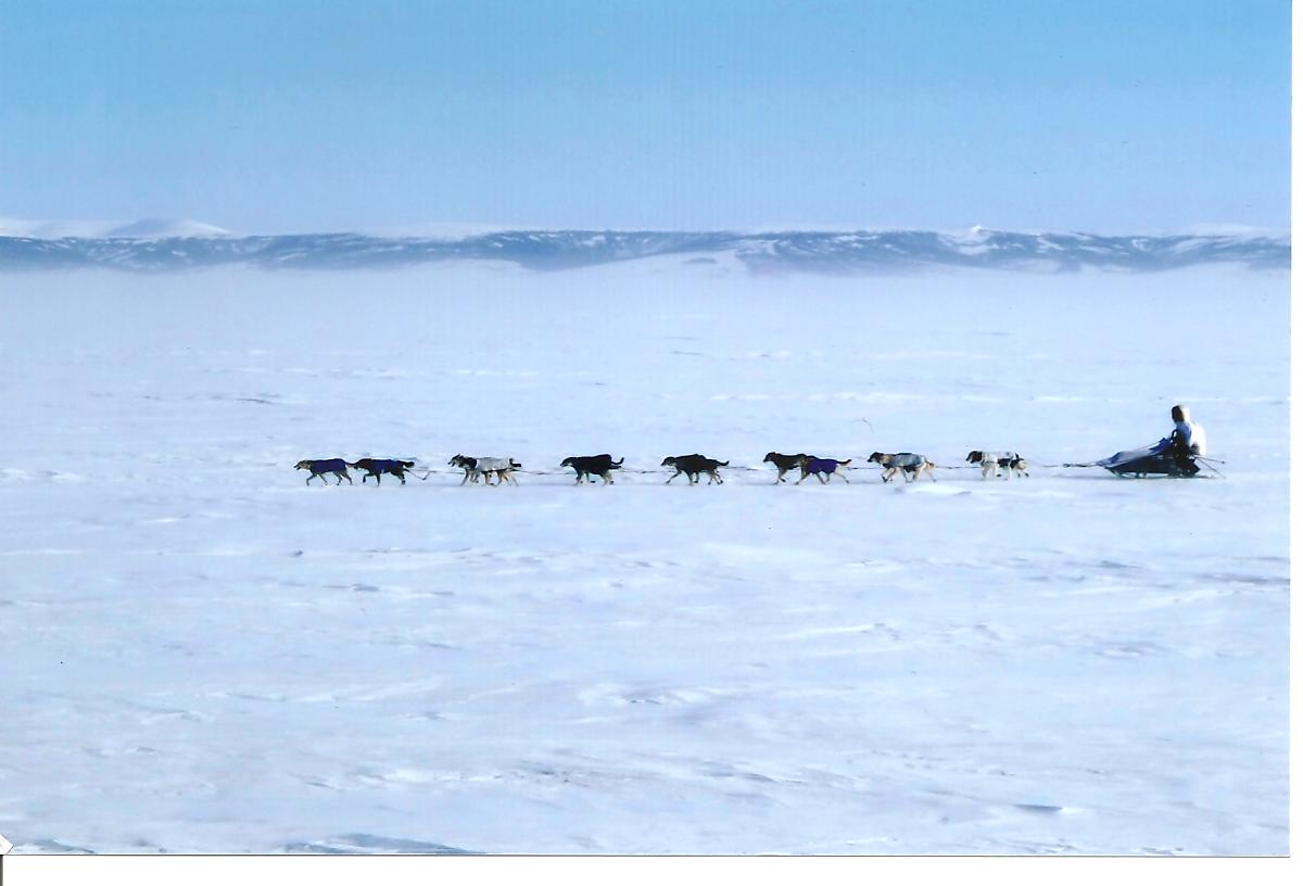 09 Iditarod Pic  3